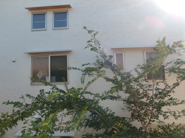 飾磨駅 徒歩15分 1階の物件内観写真